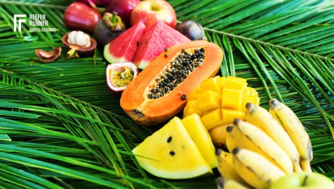 fruit export from Brazil