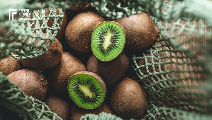 Kiwi transport