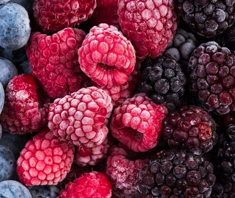 Ebook Cold Chain And Reefer Management