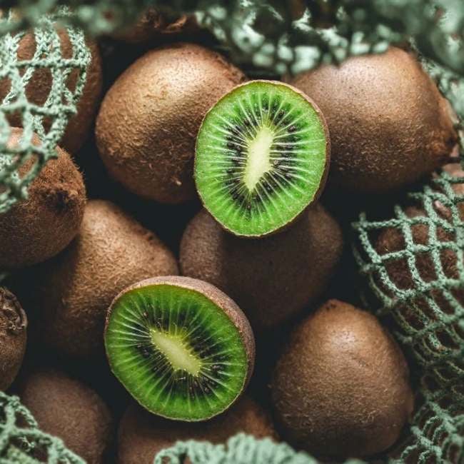 refrigerated-containers-kiwi